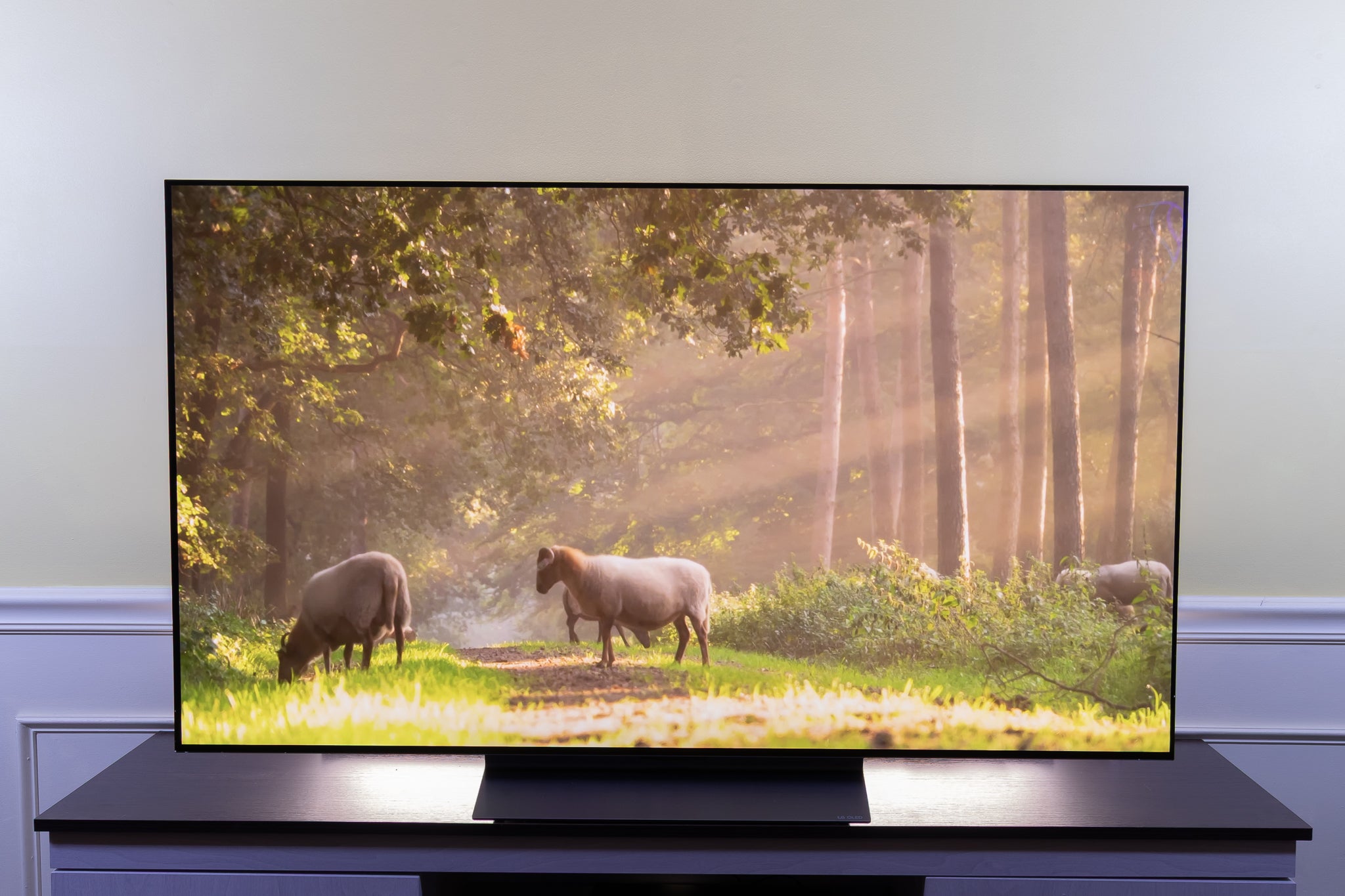 OLED TV Repair